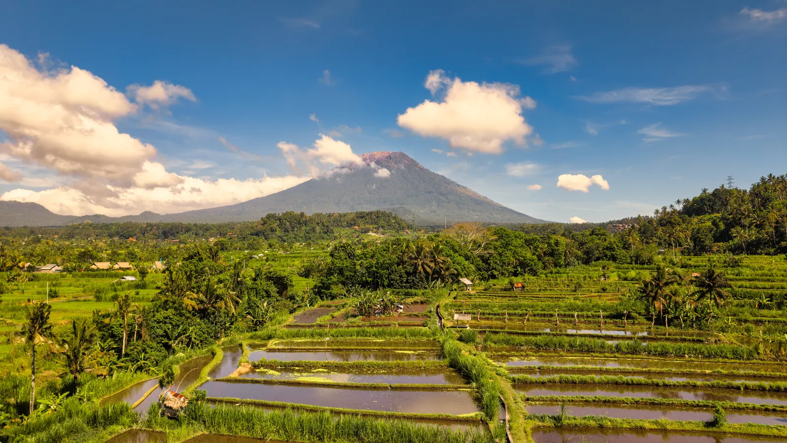 Sawah berundak dan gunung di Bali